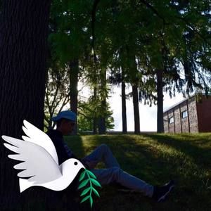 Meet your Posher, Matthew